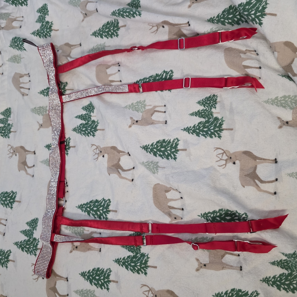 Victoria's Secret Red Satin Suspenders